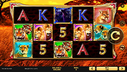 Majestic Cats In RojaBet