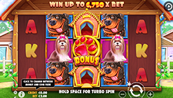 The Dog House Megaways speelautomaten in het Estrella Casino.