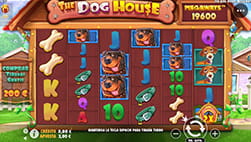 De Hond Huis Megaways Slot bij Casino777.