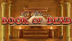 Play N Go ' S Book of Dead om op te wedden met casinobonussen