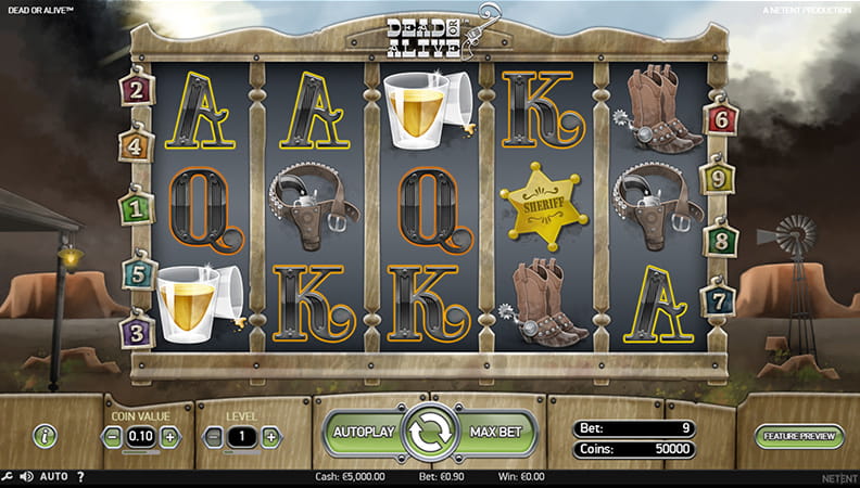 Demo spel van de Dead or Alive slot.