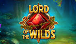 Heer van de Wilds jackpot slot.