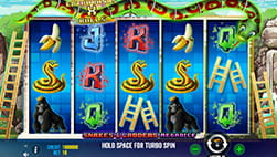 La slot slangen en Ladders in Betwarrior