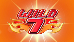 Slots met Wild Wild jackpot 7.