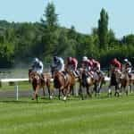 Paardenrace op een renbaan.